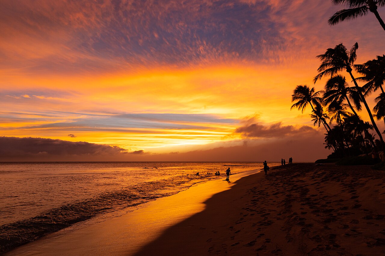 BOOK NOW: Get $50 Off Any $500+ Maui Experiences
