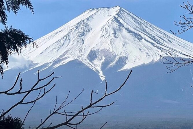 Client Books Mt. Fuji Day Trip on Viator Using My Advisor Link